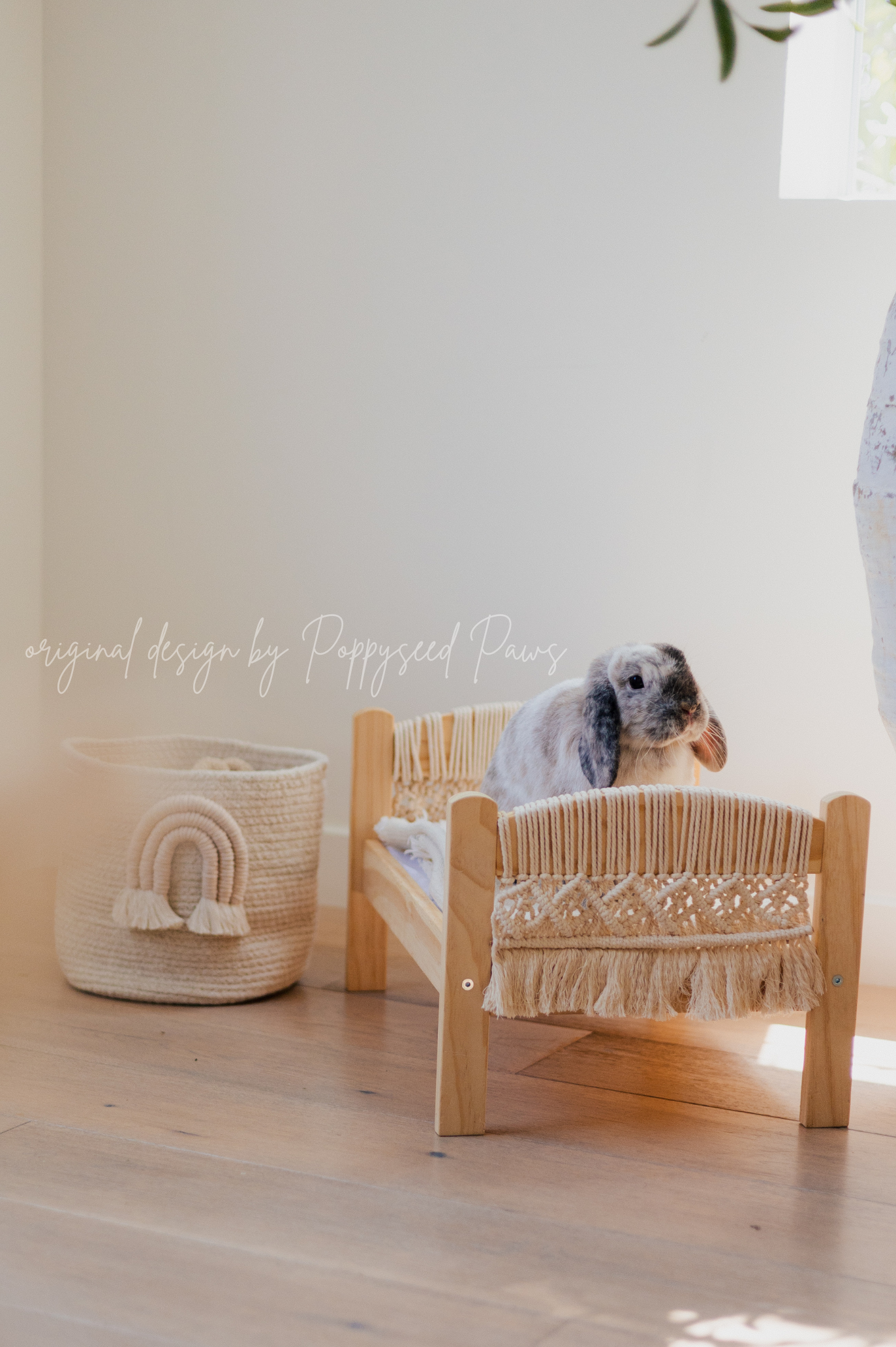 Rainbow Pet Cotton Storage Basket