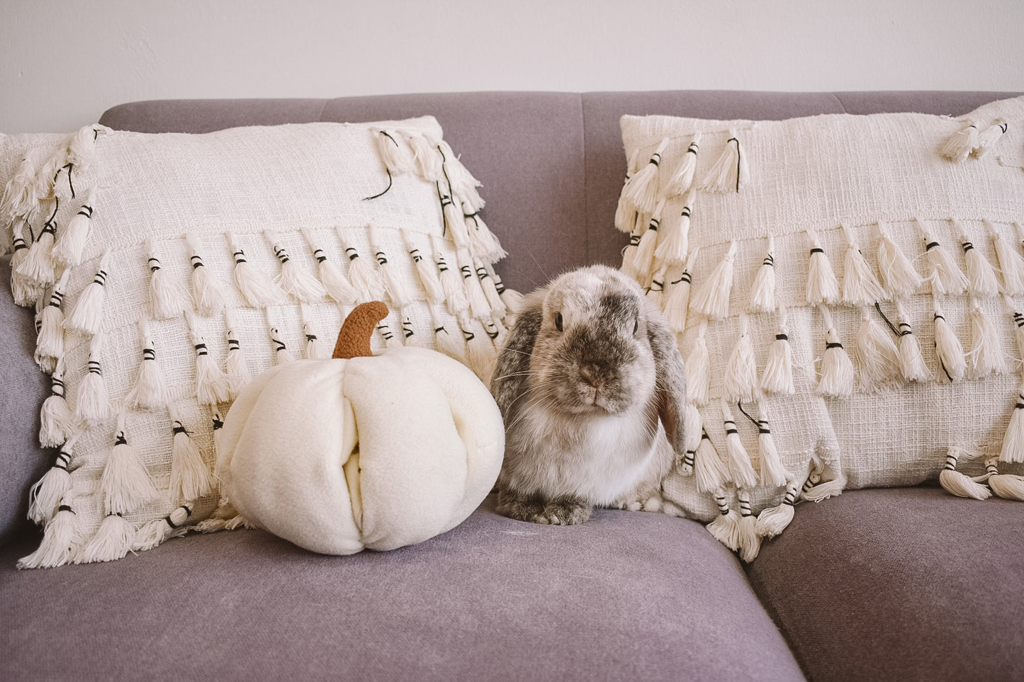 Pumpkin Plush Forager Snuffle Toy & Aesthetic Fleece Slow Feeder Puzzle For Rabbits