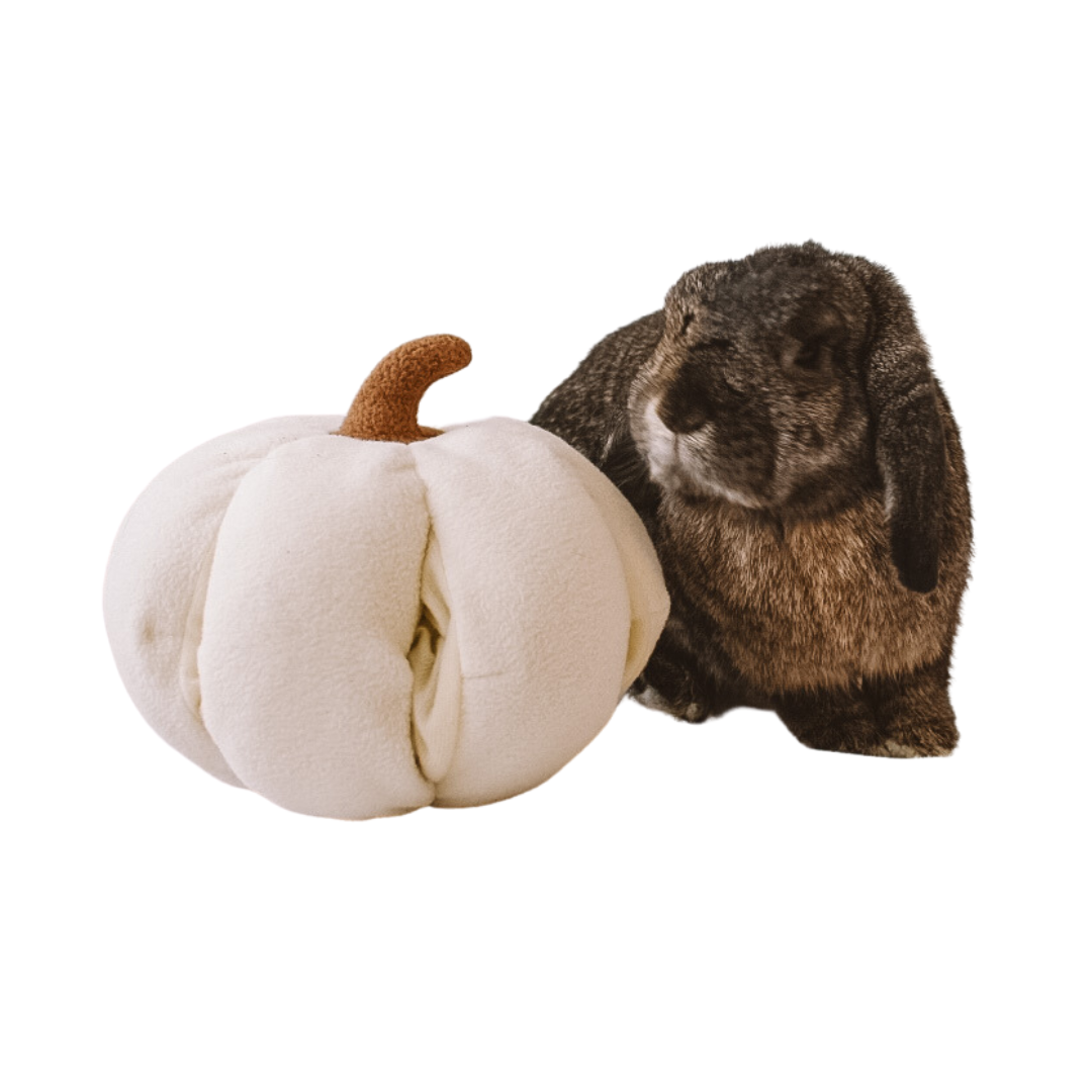 Farm, Apple Tnees, buy Chickens, Bunnies, Pumpkins, Gender Neutral, Plush Fleece, Pers,nalized, Name, Custom2Made