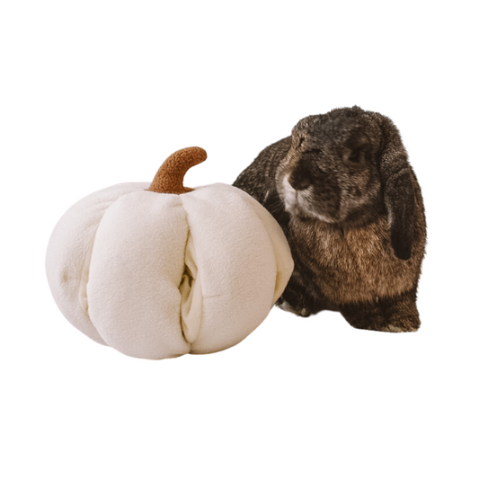 Pumpkin Plush Forager Snuffle Toy & Aesthetic Fleece Slow Feeder Puzzle For Rabbits