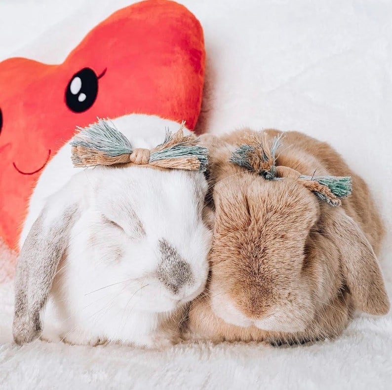 Fiber Bunny Bow with Adjustable Headband