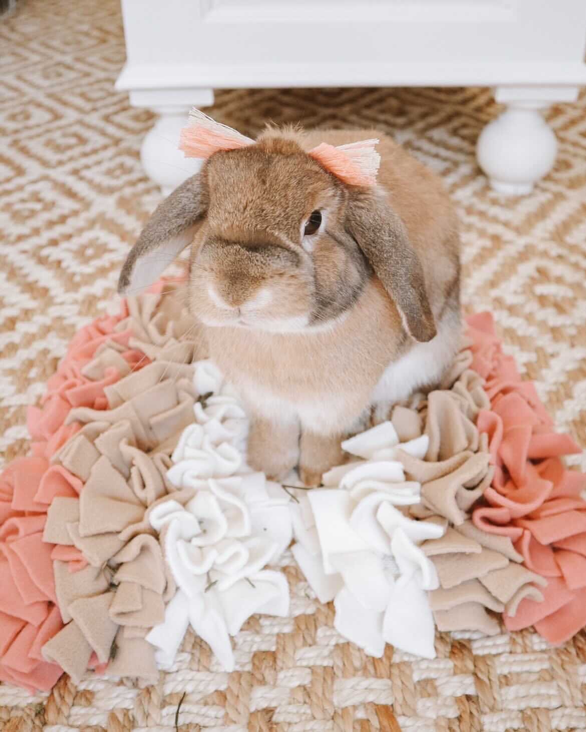 Fiber Bunny Bow with Adjustable Headband