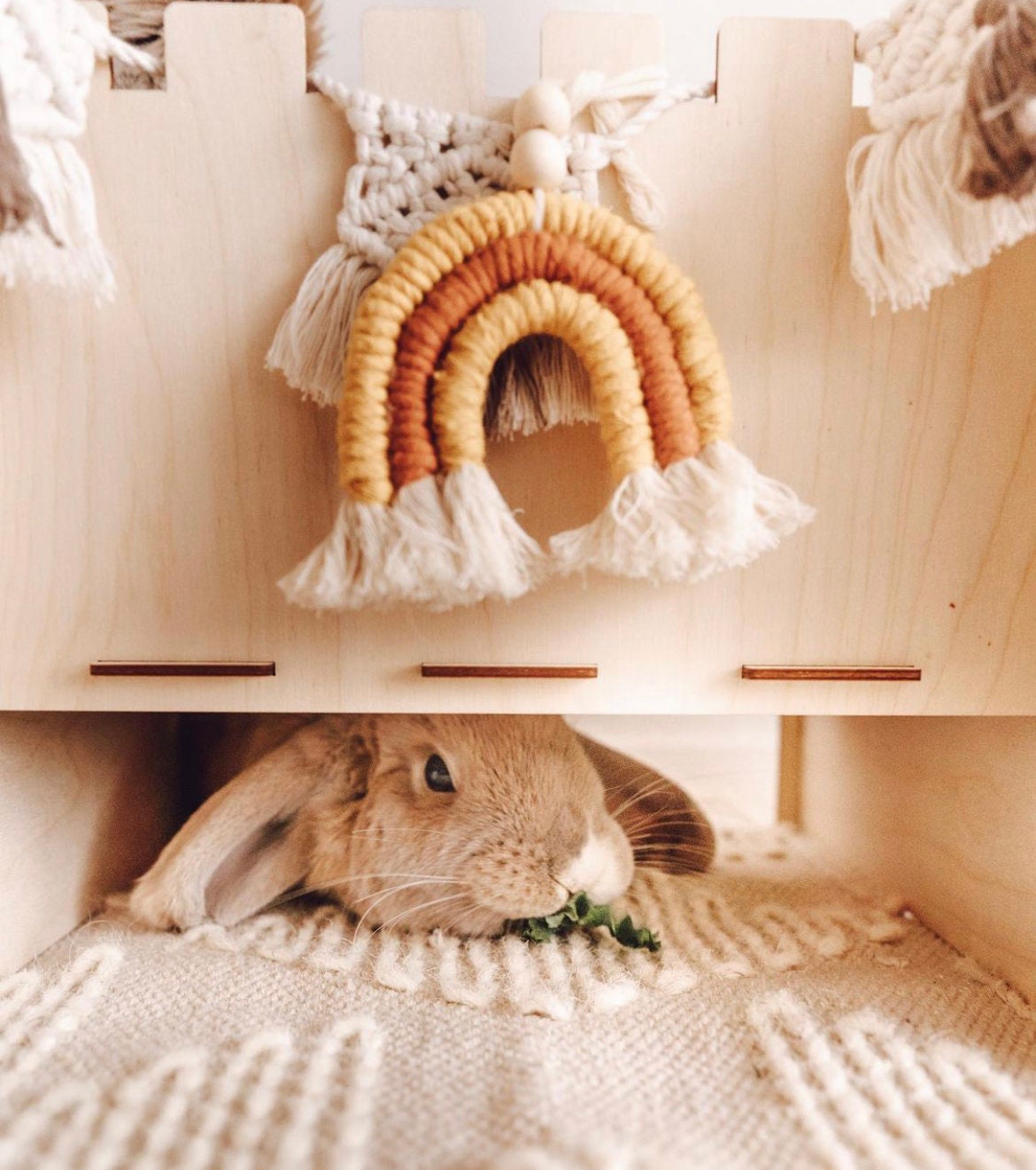 Macramé Rainbow