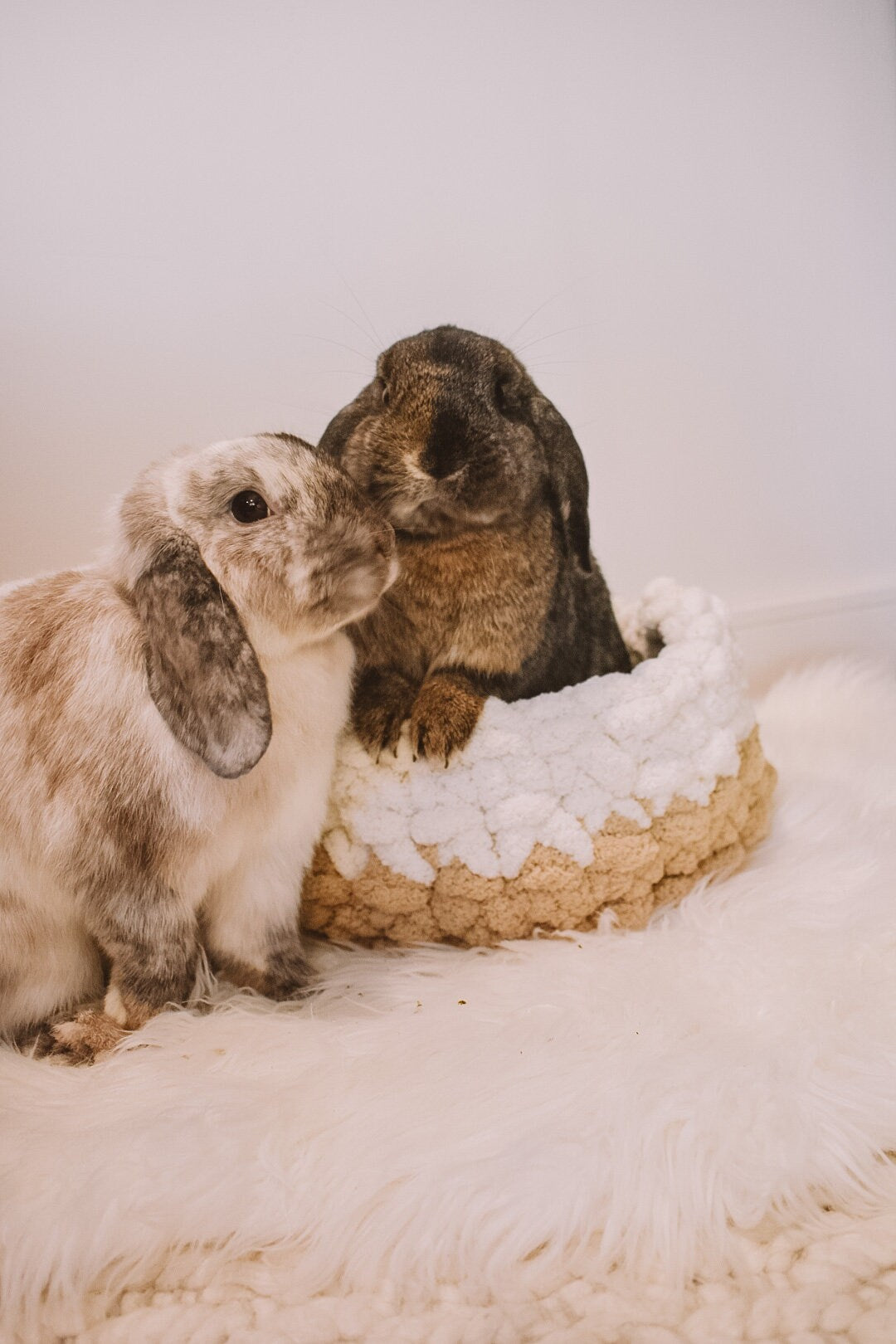 Chunky Hand Knit Pet Bed