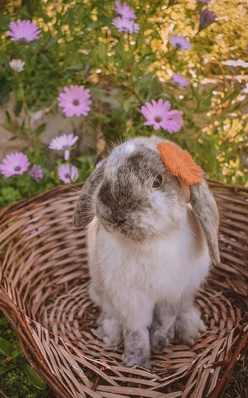 Fiber Bunny Flower Bow with Adjustable Headband