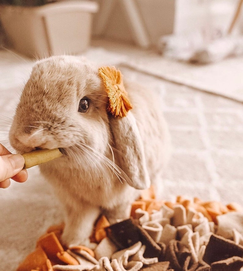 Fiber Bunny Flower Bow with Adjustable Headband