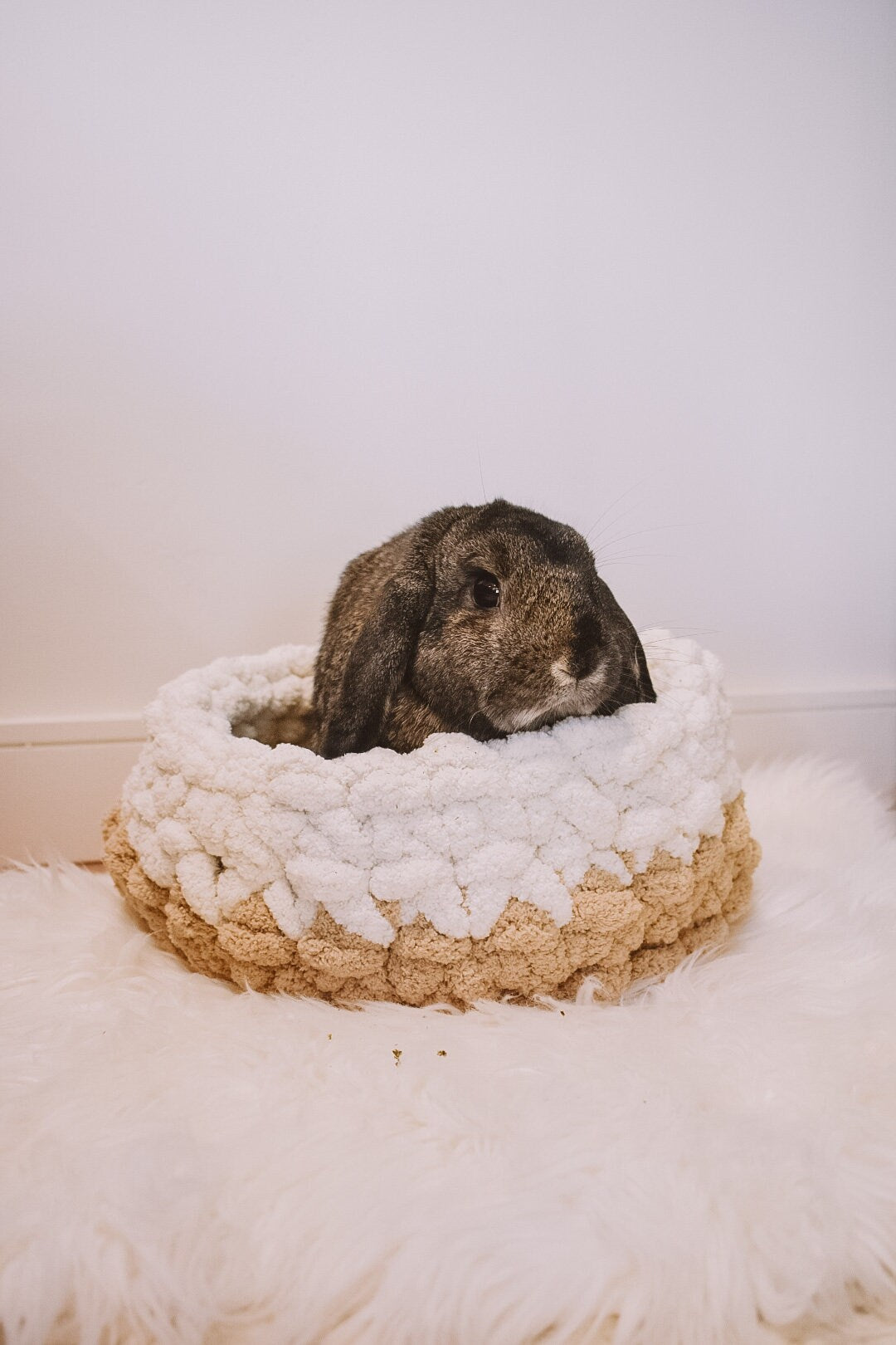 Chunky Hand Knit Pet Bed