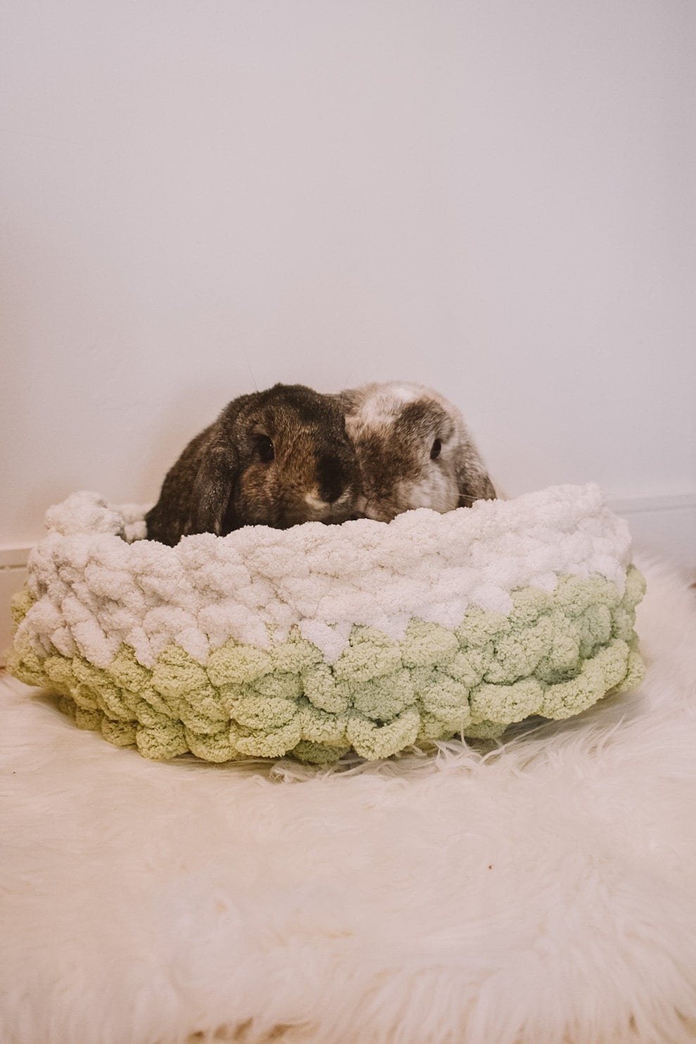 Chunky Hand Knit Pet Bed
