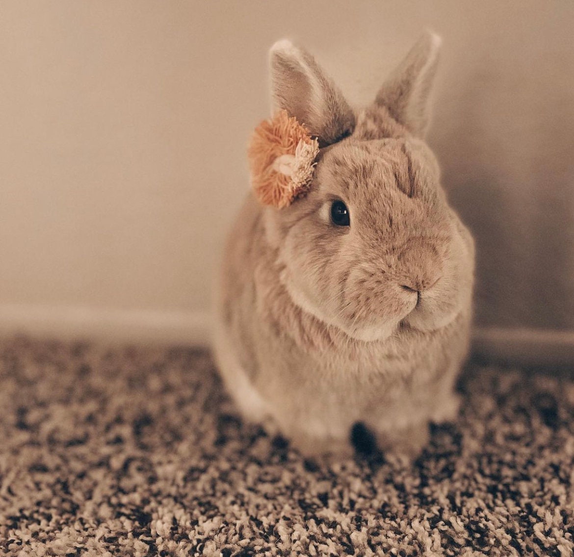 Fiber Bunny Flower Bow with Adjustable Headband